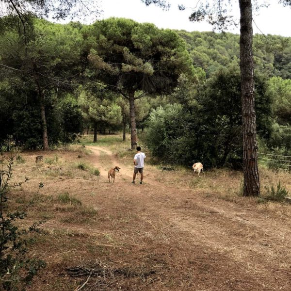 Cuidadordeperros-e1569452214881