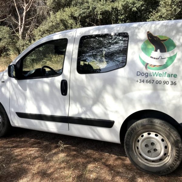 Transporteadaptado-e1569452541234